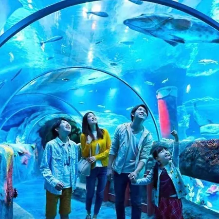 Disneyland Paris Holidays Μοντεβρέν